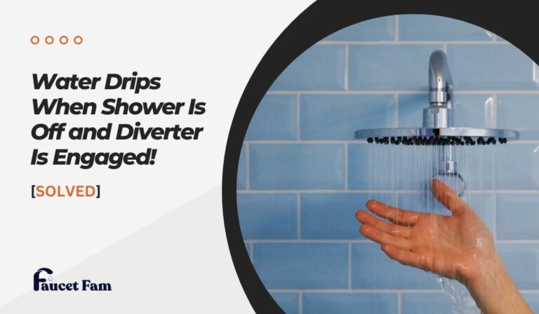 Water Drips When Shower Is Off and Diverter Is Engaged [Solved]