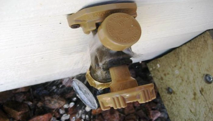 Why Is Your Outdoor Faucet's Anti Siphon Valve Leaking