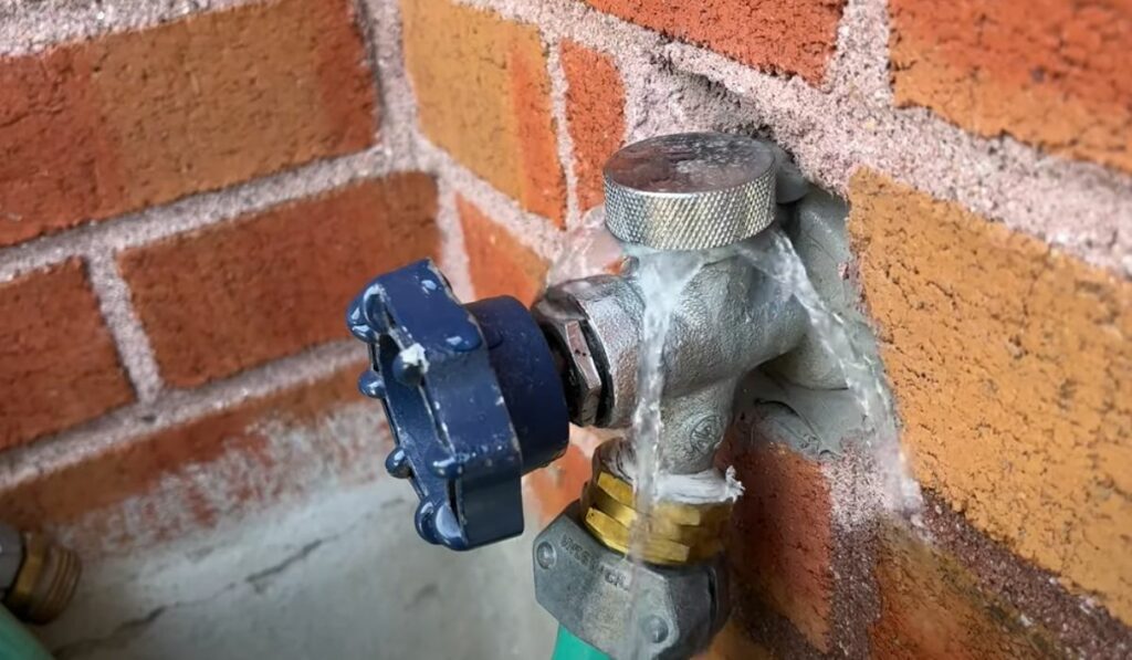 How to Repair a Leaking Anti Siphon Valve? [Solved] - Faucet Fam