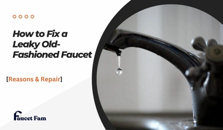 How to Fix a Leaky Old-Fashioned Faucet: Reasons and Repair!
